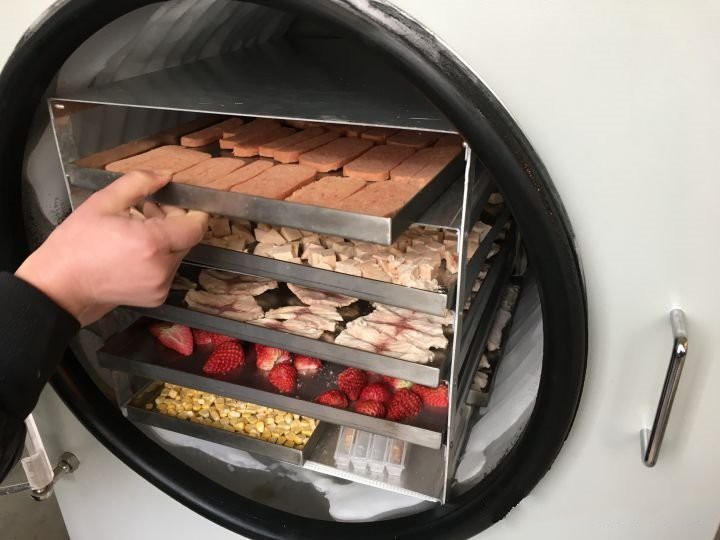 Home freeze dryer