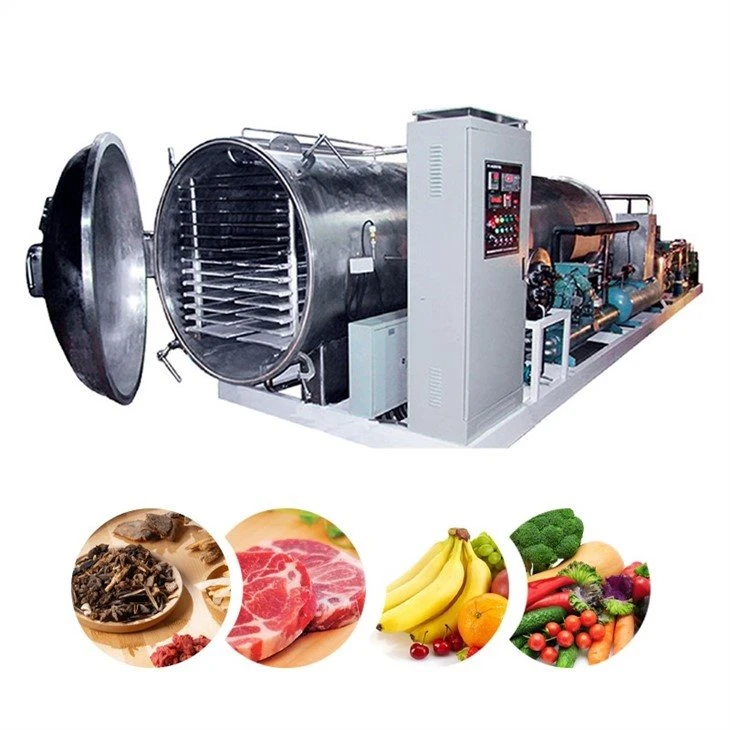 best food freeze dryer